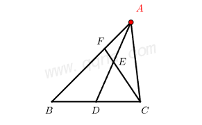 中位线模型典例2