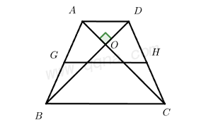 中位线模型典例6