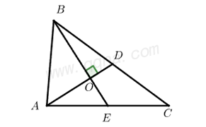 垂美四边形典例4