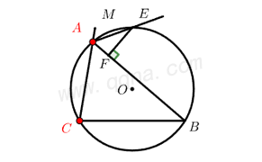阿基米德折弦定理典例5